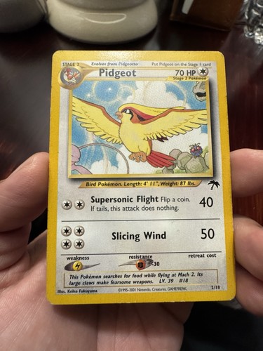 Pokémon pidgeot isole - 2/18,