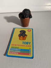 Cucciolo in tasca vintage anni