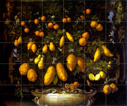 Arte agrumi bartolomeo - arte,