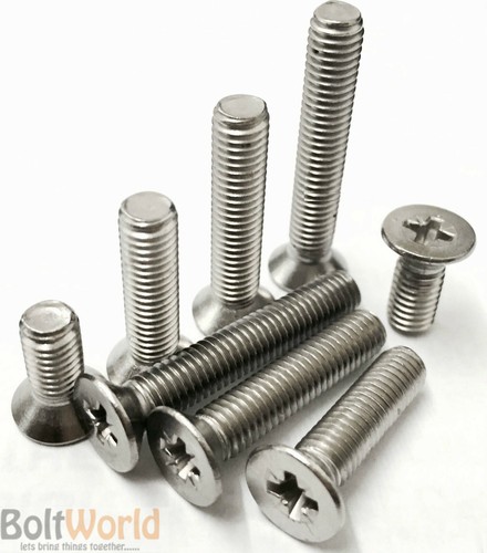 Acciaio inox pozi - m6,