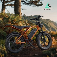 Adult 20" Fat Tire Mountain