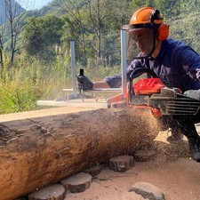 Segheria portatile Segheria a catena per taglio guidato Tavole Fresatura