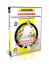 Shanxi Xingyi Quan Hsing I