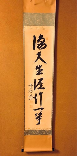 Daido nishigaki rotolo - daido, da