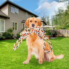 🐶 GIOCATTOLO PER CANI IN