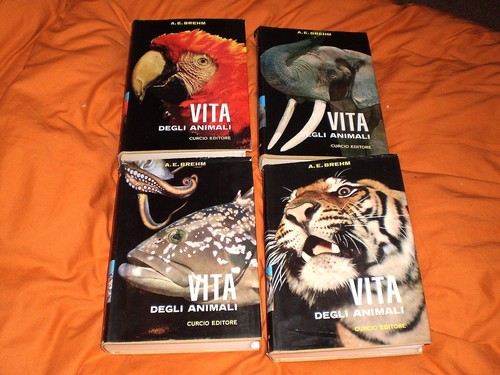 Brehm vita degli animali - brehm,