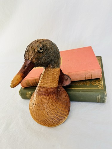 Gancio parete anatra - gancio,