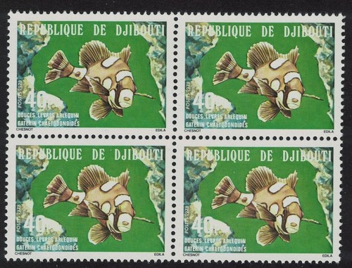 Gibuti arlecchino sweetlips - arlecchino,