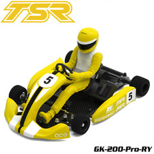 Team Saxo GK-200-PRO 1/8 RC Go