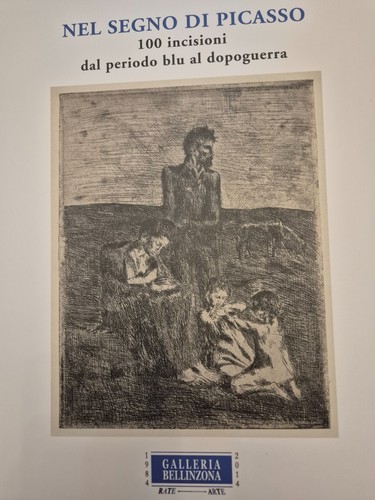 Nel segno picasso 100 - nel,