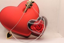 COLLANA SEMIRIGIDA ARGENTO