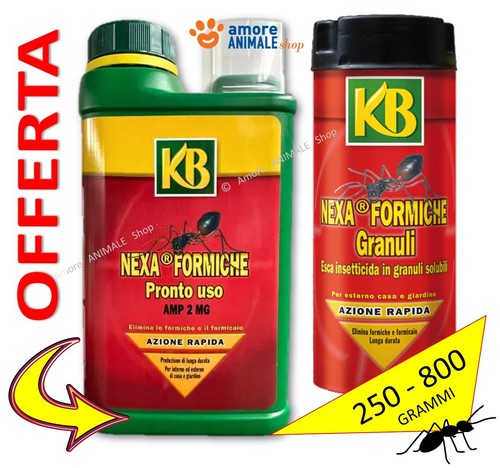 Nexa formiche granuli - formiche, →