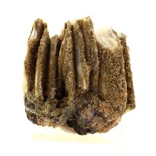 Minerali E Pietre Preziose