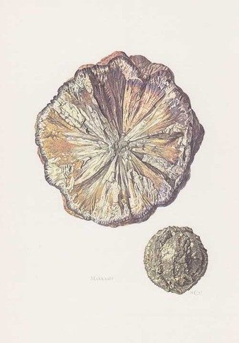 Marcasite mineral stampa - marcasite,