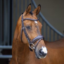Shires Lusso Dressage Flash