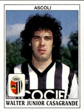 figurina NEW Calciatori PANINI anno 1989/90 numero 14 Ascoli Casagrande