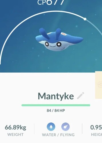 Pokemon raro hatch baby - pokemon,