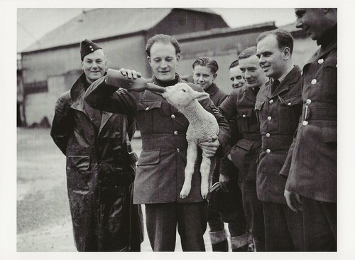 Cartolina seconda guerra - cartolina,