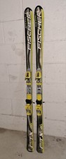 Sci adulto fischer ctx - adulto,