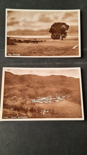 Foto cartolina colonie - cartolina,