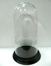 Campana in Vetro Completa di