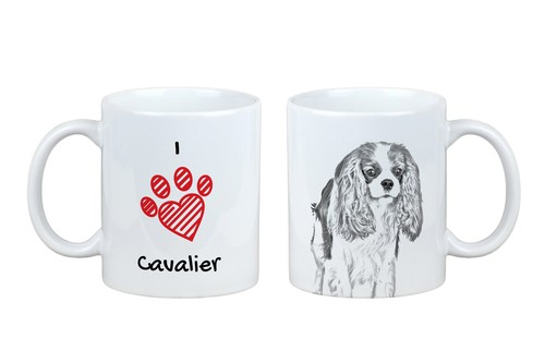 Cavalier king charles - cavalier, spaniel