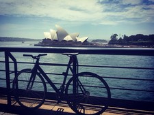 Bicicletta Cinelli MASH SF 53