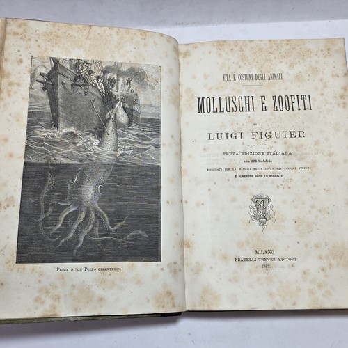 Libro antico via e costumi - antico,