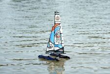 RC Barca a Vela Catamarano con