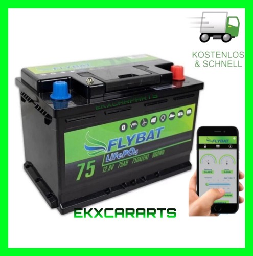 Flybat 75ah lifepo4 8v - 75ah,