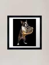 Bulldog francese che suona