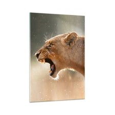 Quadro su Vetro 70x100cm Leone