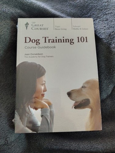 Dog addestrament 101 - addestrament, grandi