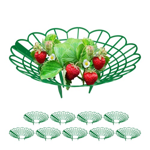 Rete supporto fragole anelli - supporto,