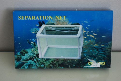 Acquario grande pesce - acquario,