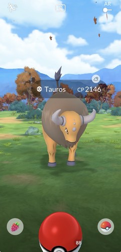 Pokemon tauros regionale - go,