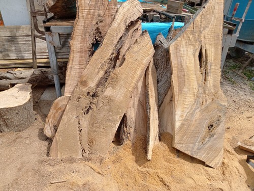 Tavole legno ulivo - tavole,