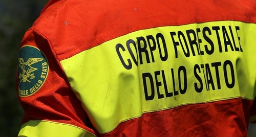 Tuta aib corpo forestale - tuta, dello