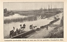 Paludi Pontine anno 1925 Paludi Pontine Agro Pontino - Hist. Relazione del 1925