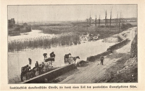 Paludi pontine anno - pontine, 1925