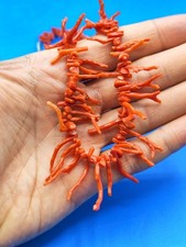 Antica collana in corallo