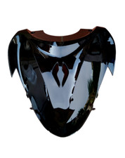 SCUDO SCUDINO SCOCCA CARENA