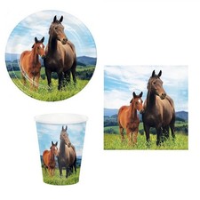 Coordinato festa Cavallo e