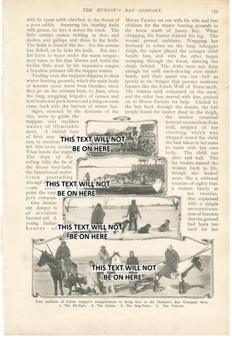 Hudson bay company indian - bay,