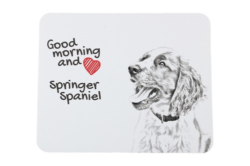 Springer spaniel inglese - spaniel,