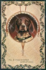 Artist Segugio dog Raphael