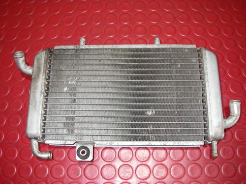 Radiatore acqua alexon piaggio - radiatore,