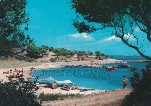 Palau camping capo - palau:, d'orso