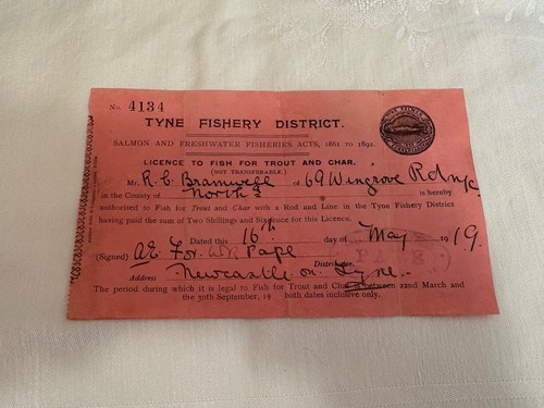 1919 licenza pesca - licenza, di