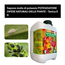 Sapone molle potassio - potassio, 5lt